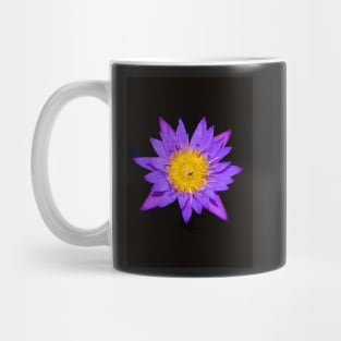 Flower Burst Mug
